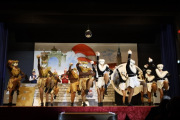 Mittel-IMG_7084